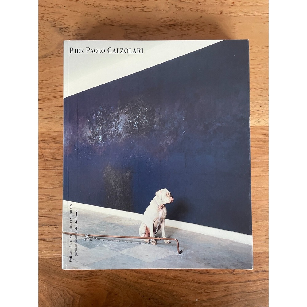 Pier Paolo Calzolari Book Contemporary Art Artist Monograph